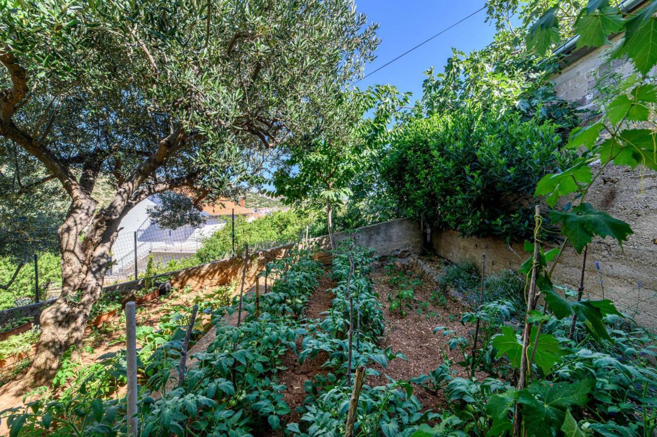 Apartments Kardum Sibenik Exterior photo